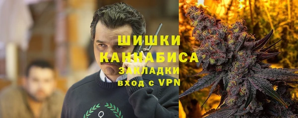 тгк Арсеньев