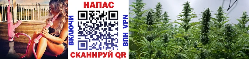 купить закладку  Волгореченск  Конопля LSD WEED 